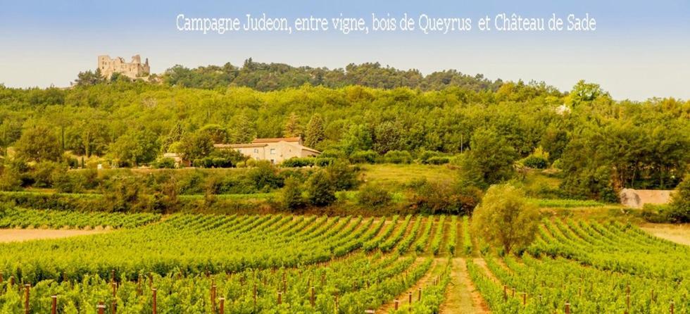 Le Tilleul Lacoste (Vaucluse) Exterior foto