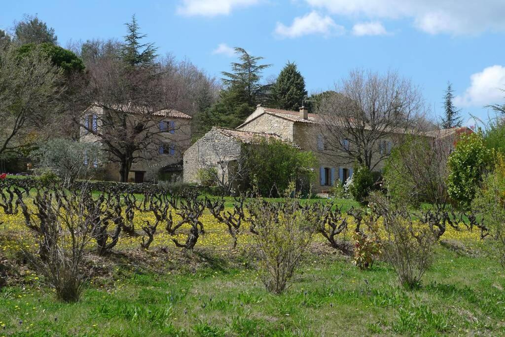 Le Tilleul Lacoste (Vaucluse) Exterior foto