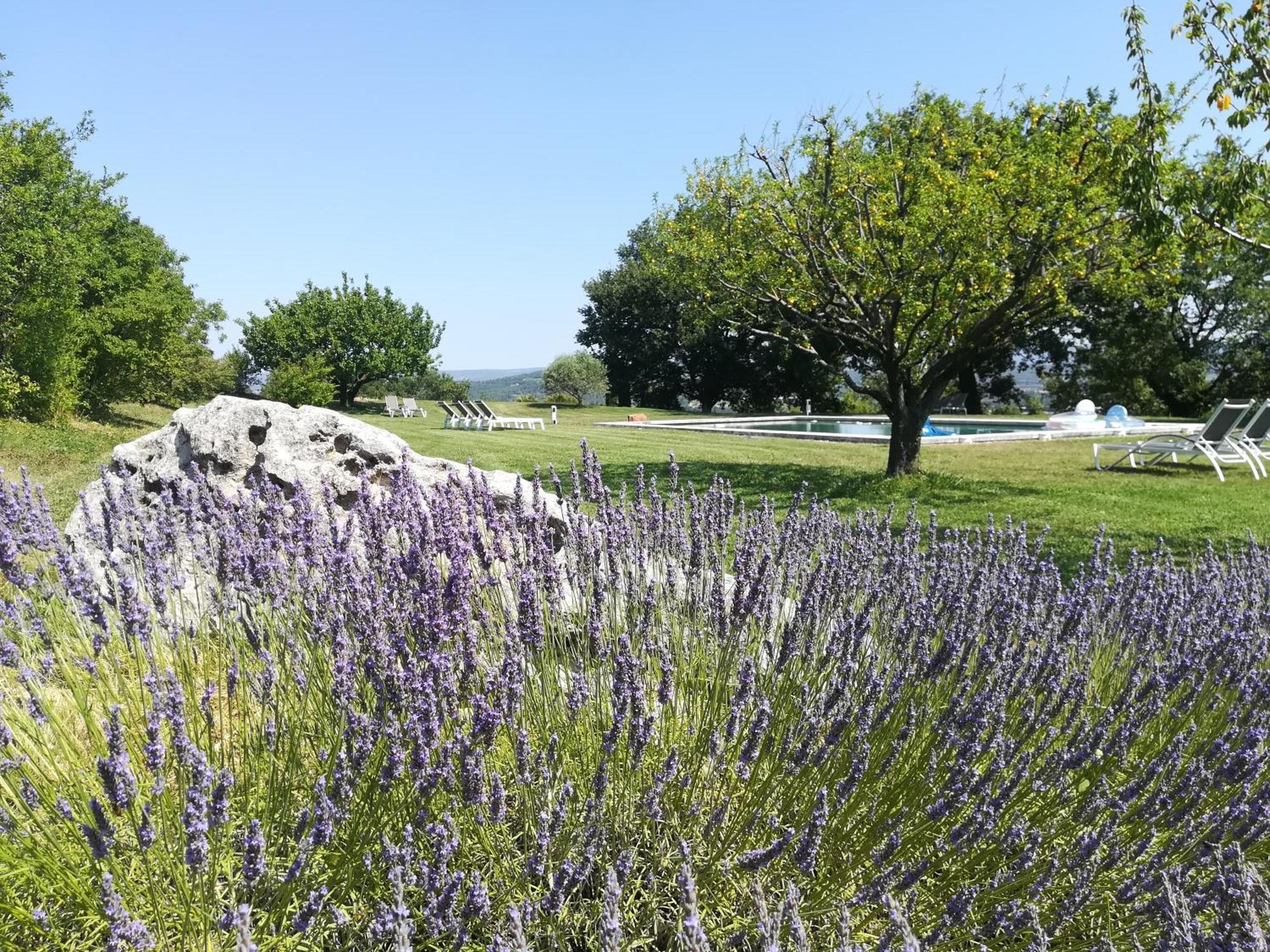 Le Tilleul Lacoste (Vaucluse) Exterior foto