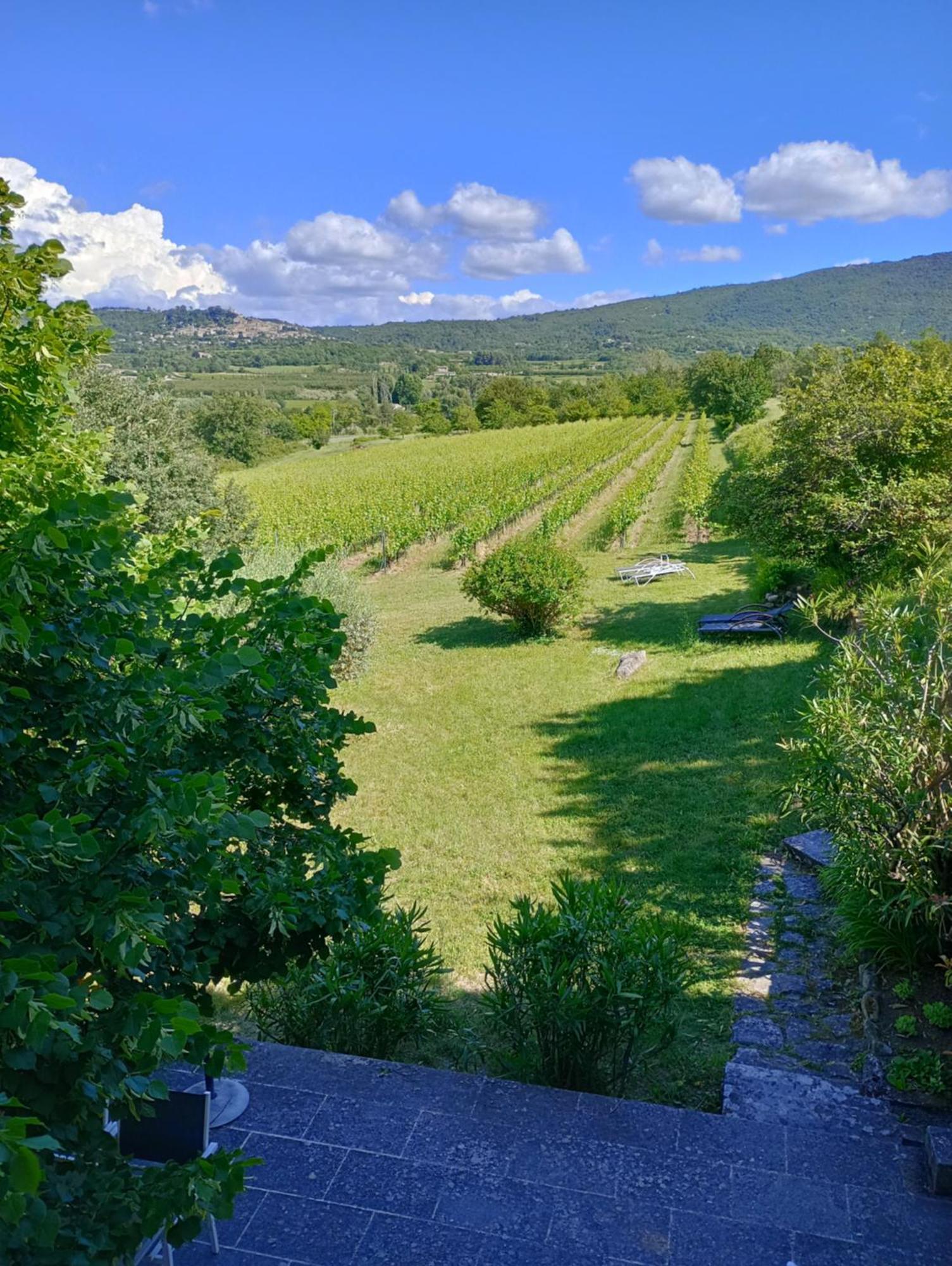 Le Tilleul Lacoste (Vaucluse) Exterior foto
