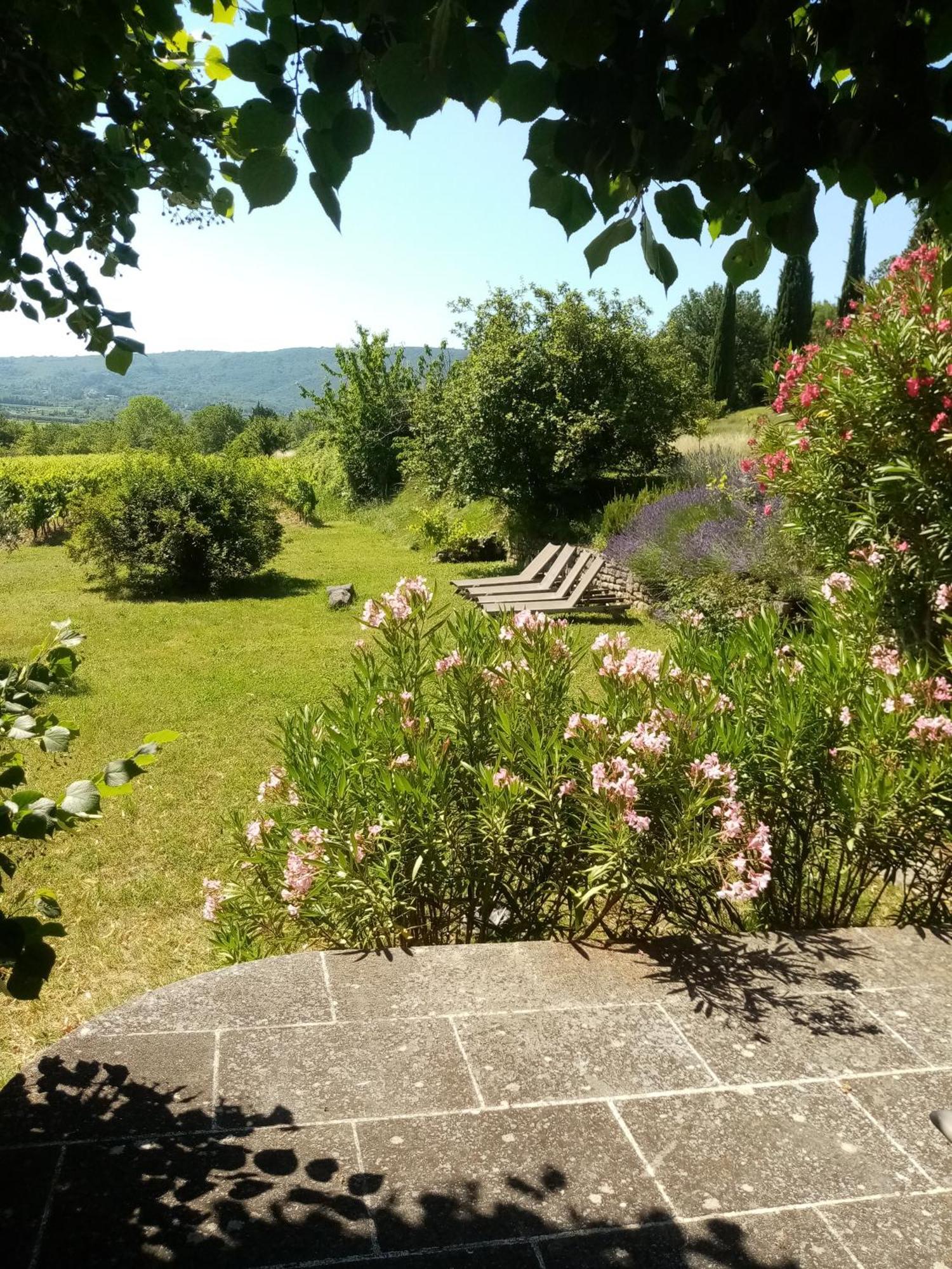 Le Tilleul Lacoste (Vaucluse) Exterior foto